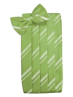 Clover Green Striped Satin Cummerbund Set