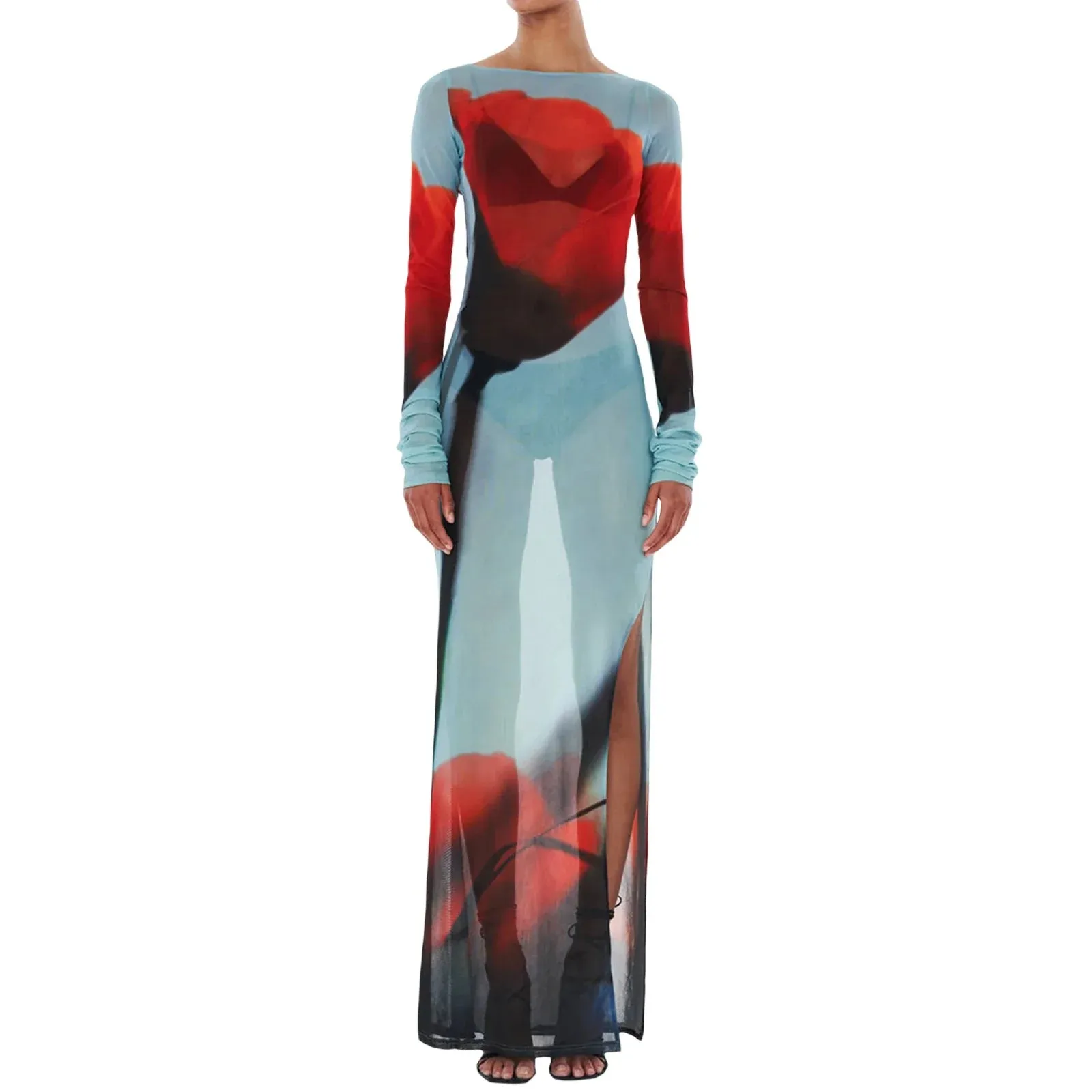 Long Sheer Mesh Long Sleeve Boat Neck Floral Print Midi Side Split Casual Boydcon Dress