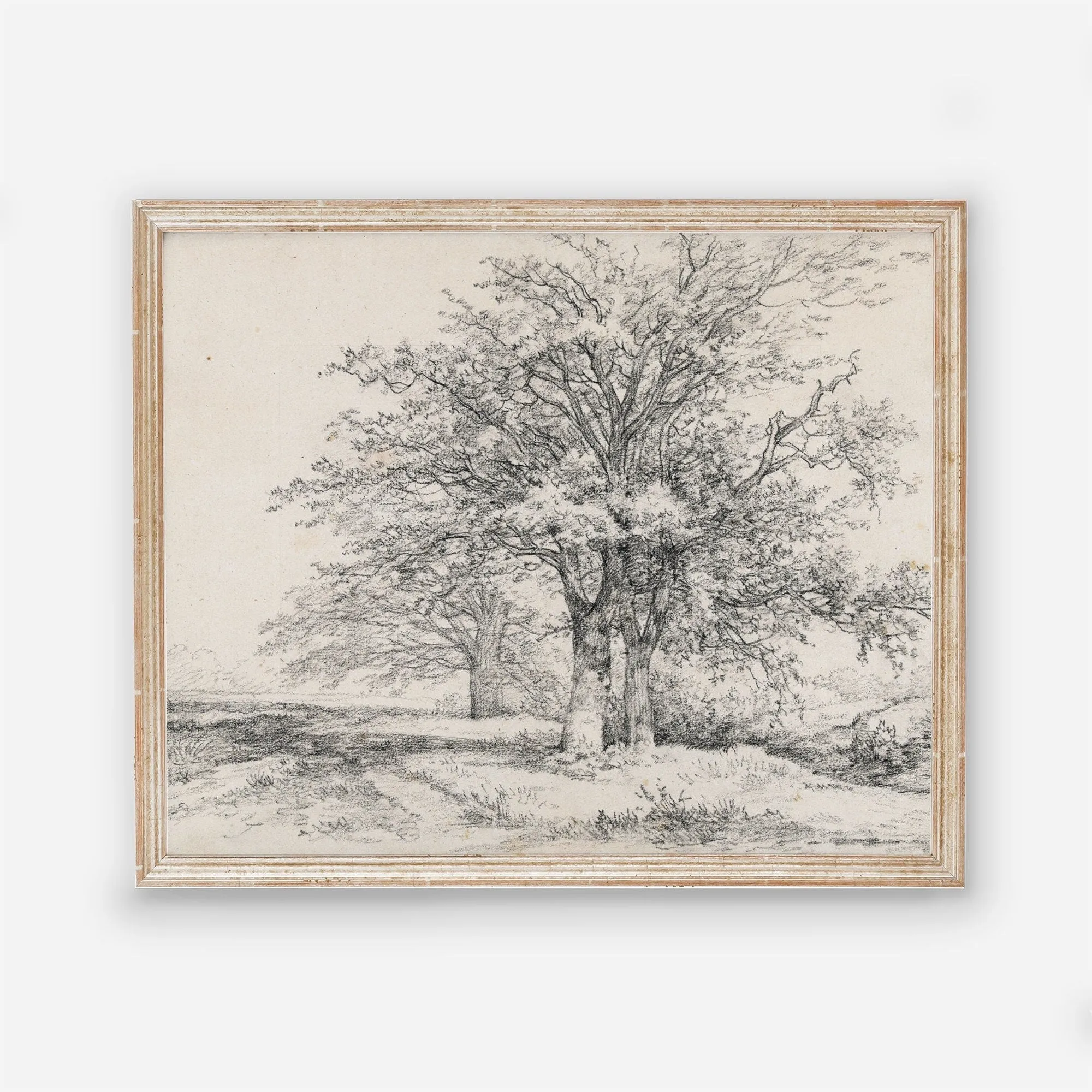 Vintage Tree Sketch Art Print