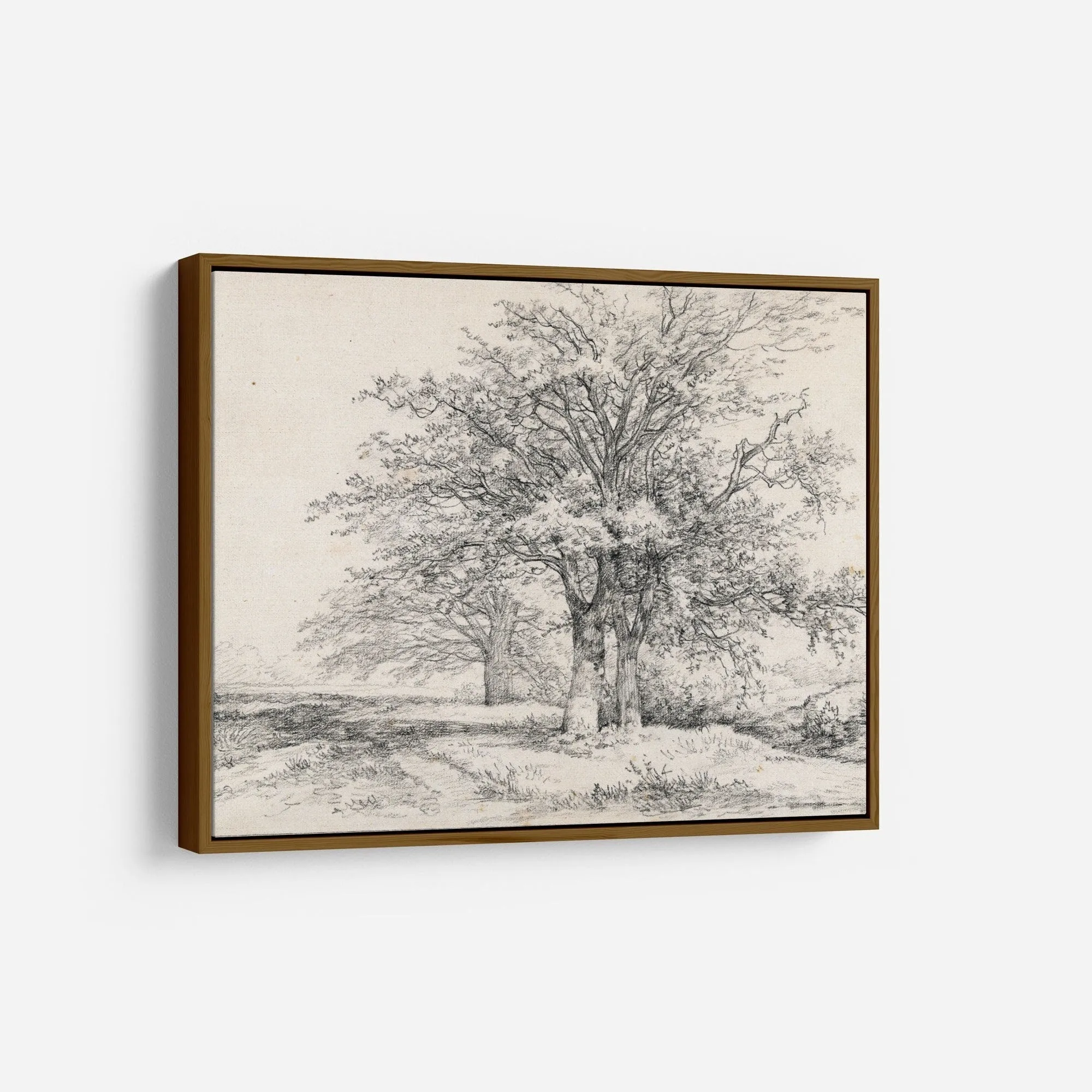Vintage Tree Sketch Art Print