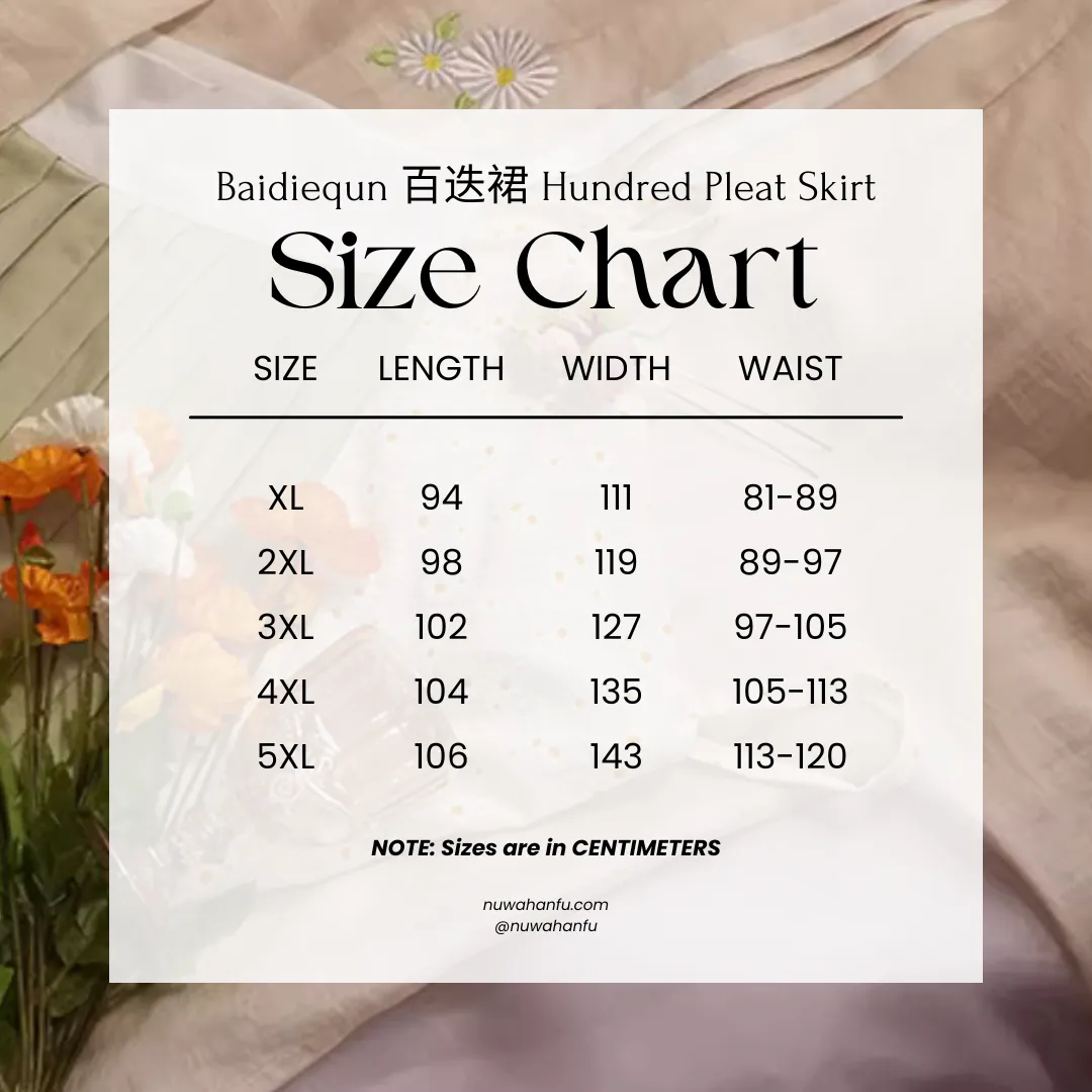 Xiao Chuju 小雏菊 Little Daisies Modernized Song Dynasty Plus Size Cotton Beizi Baidiequn Ruqun Set