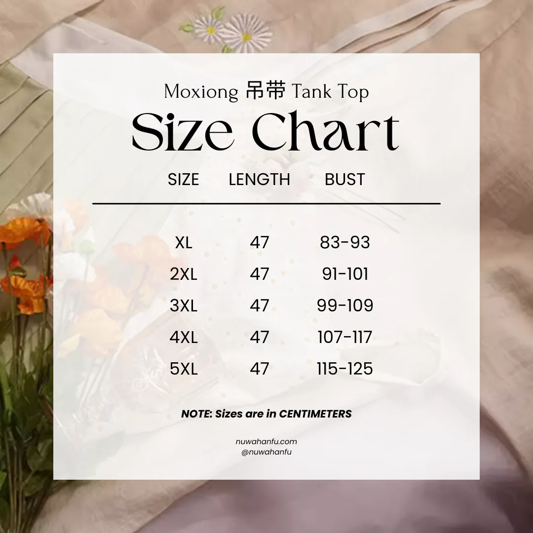 Xiao Chuju 小雏菊 Little Daisies Modernized Song Dynasty Plus Size Cotton Beizi Baidiequn Ruqun Set
