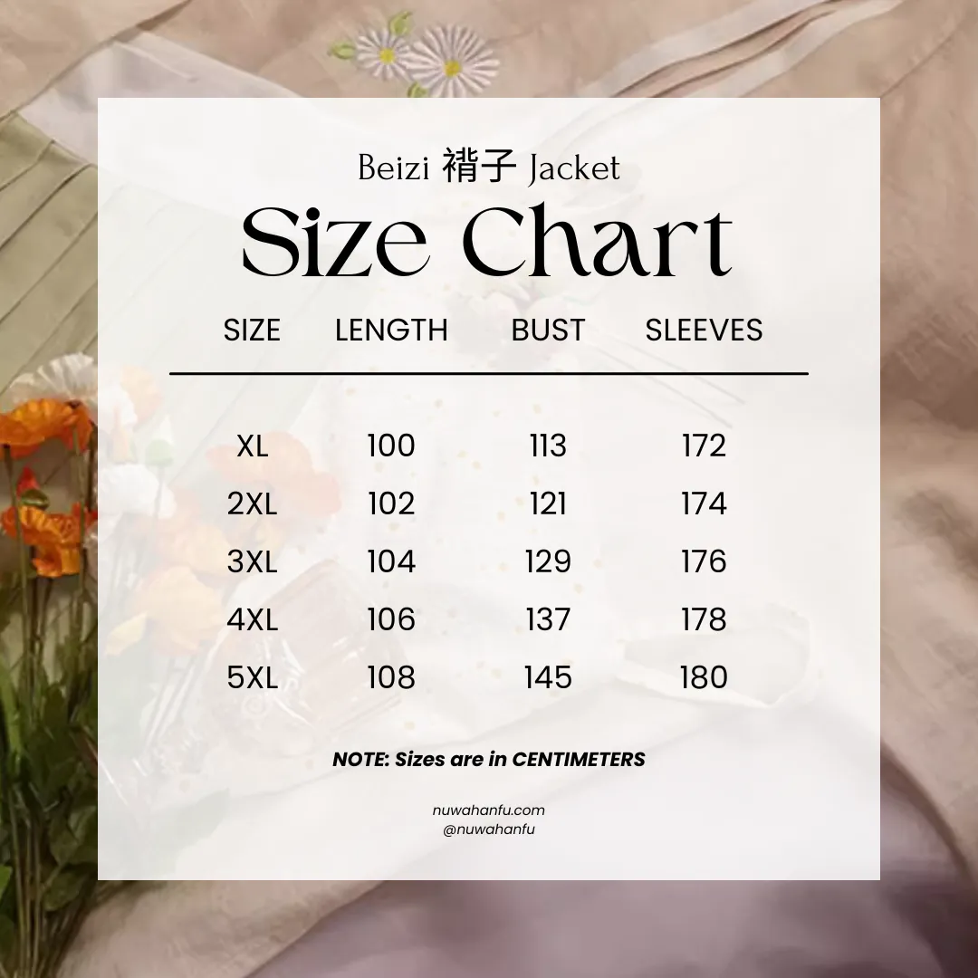 Xiao Chuju 小雏菊 Little Daisies Modernized Song Dynasty Plus Size Cotton Beizi Baidiequn Ruqun Set